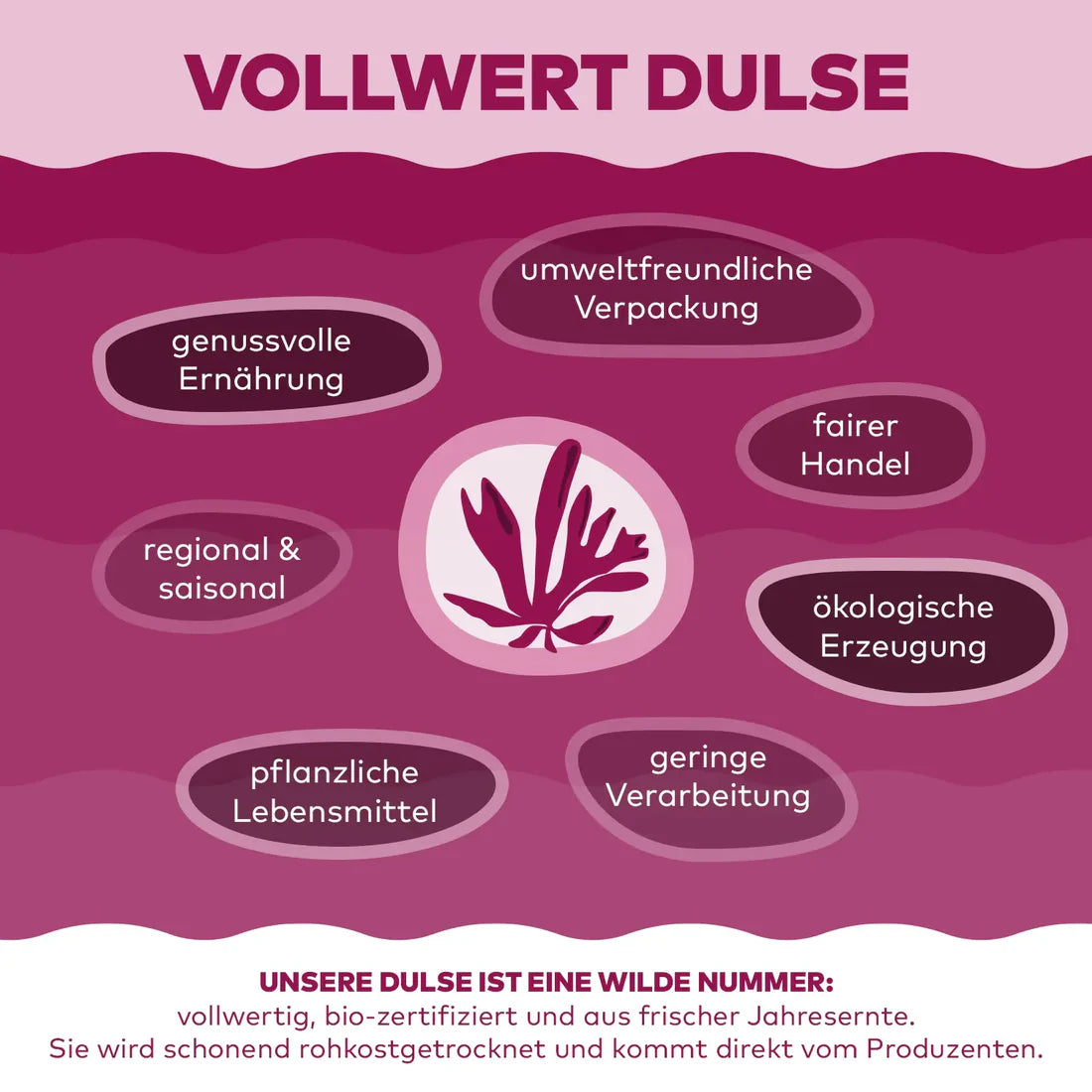 Dulse-Algen Flocken 100 gr.