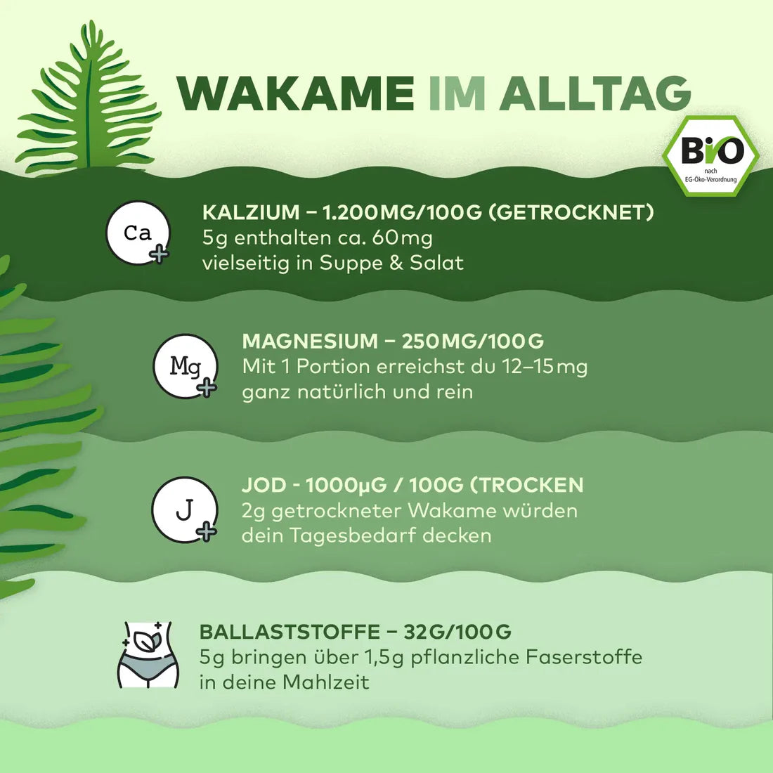 Wakame Algen Bio – zarte Braunalge aus dem Meer 80 gr.