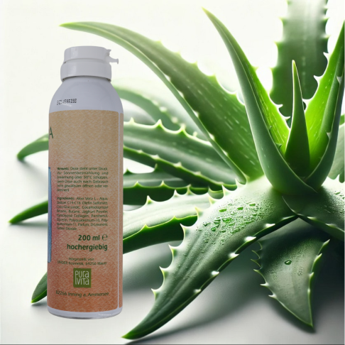 Aloe Vera Dusch-Balsam Shampoo