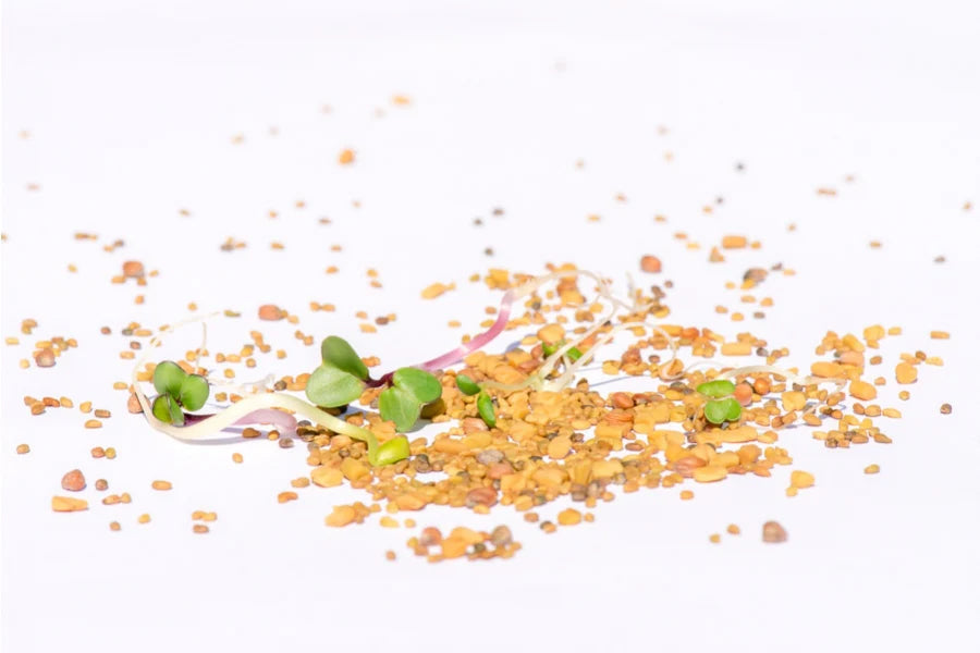 Detox-Mix-Sprossensamen BIO 250 gr.