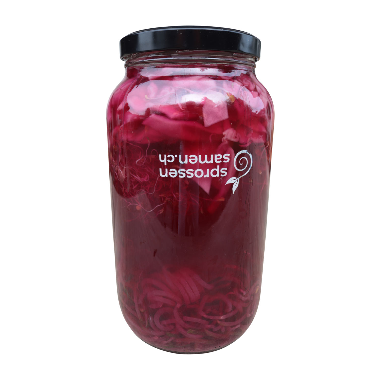 Workshop: Fermentieren mit Sprossensamen & Food Feeling 6. Juni 2026