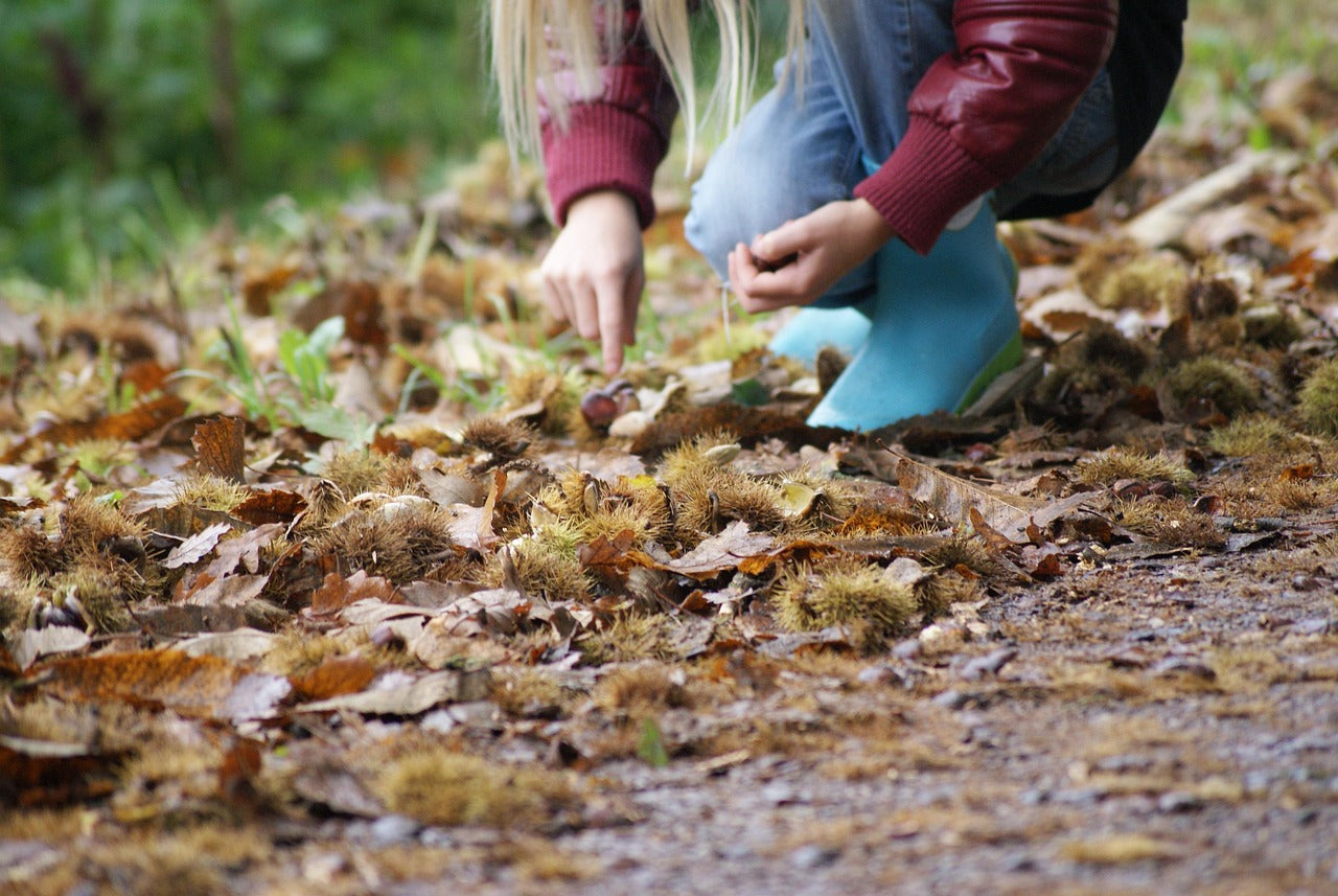 Wildpflanzen-Zubereitungskurs in Ammerswil, Samstag 18. Juli 2026