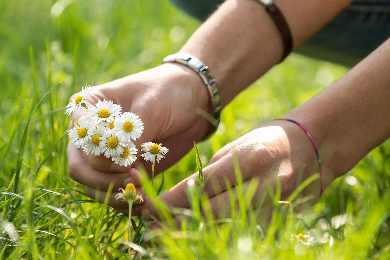 Wellness Ferien – 6. bis 10. Juli 2026