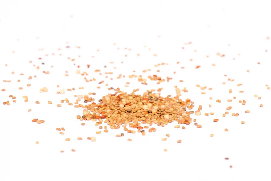 Würz-Mix-BIO Sprossensamen 250 gr.