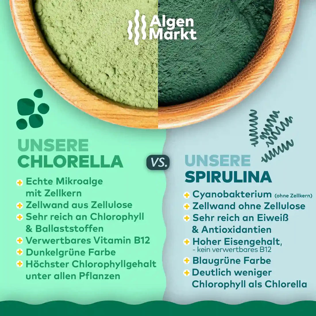 Chlorella Algenpulver aus Deutschland 100 gr.