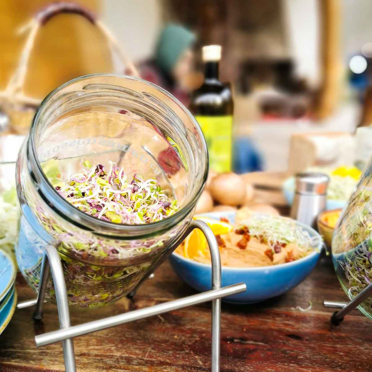 Sprossen selber ziehen - Workshop am 25. April 2026 in Zürich