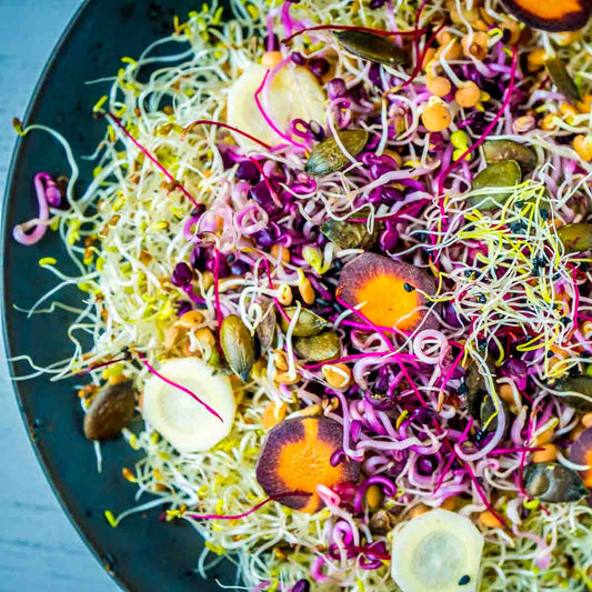 Sprossen & Microgreen Workshop Freitag, 29. Mai 2026