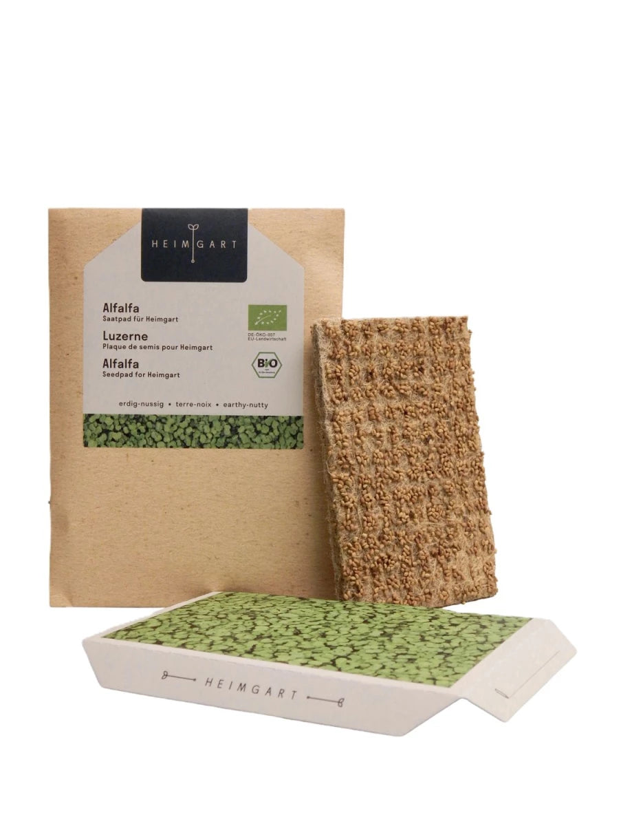 Bio-Alfalfa Saatpads – Der Klassiker für frische Lebenskraft