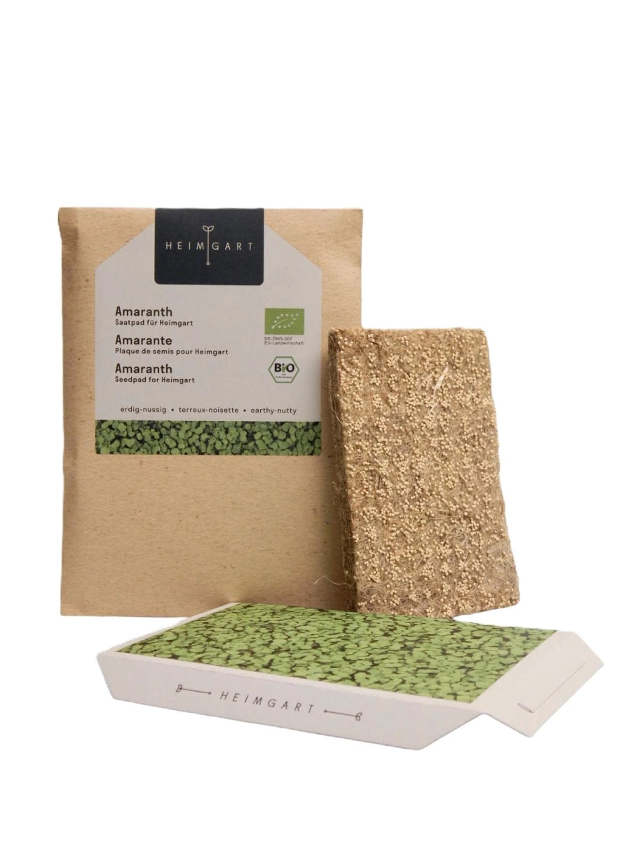 Bio-Amaranth Saatpads – Farbenfrohe Pflanzenkraft für besondere Genussmomente