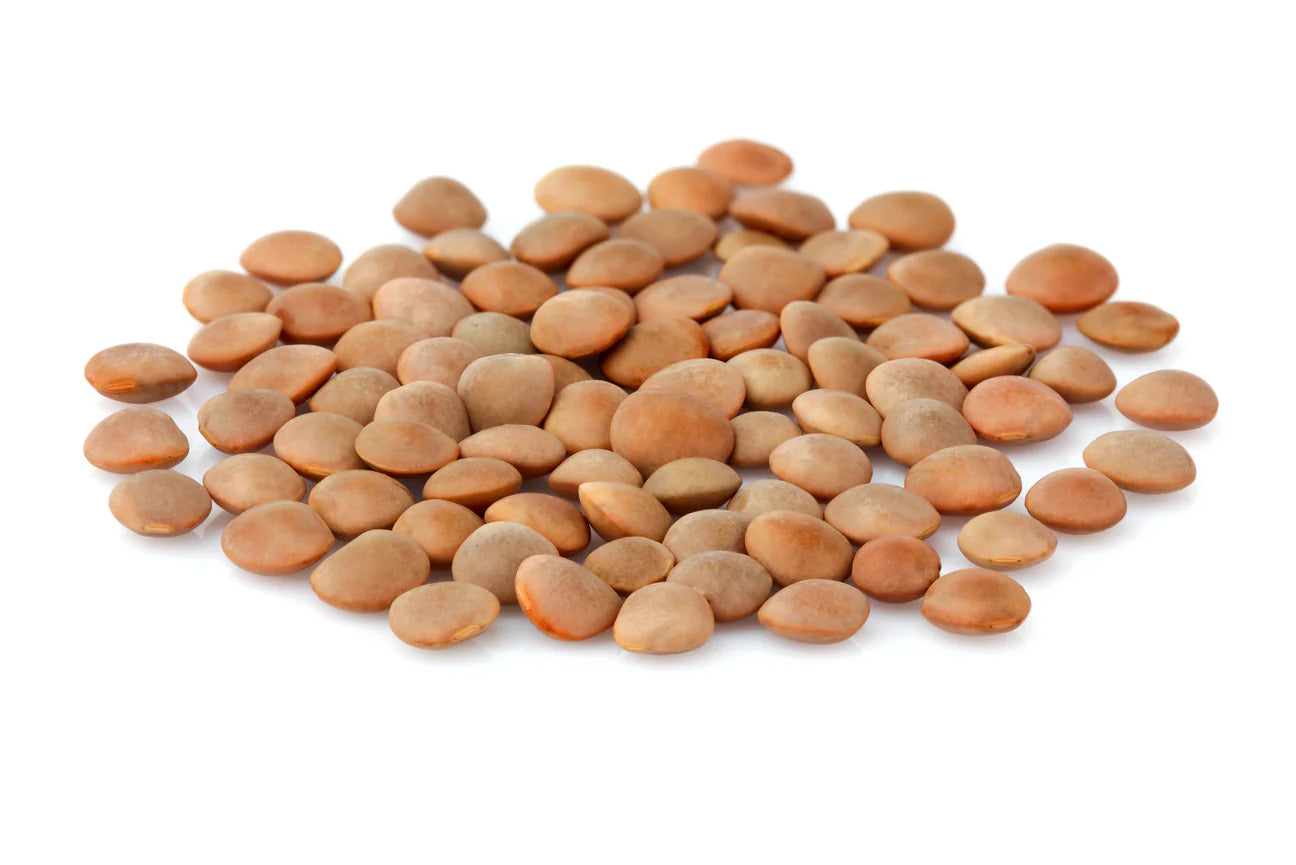 Berglinsen Bio Sprossensamen 500 gr.