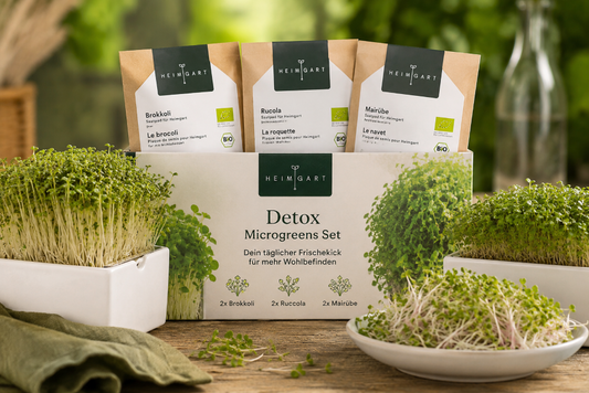 Bio-Detox Microgreen Set – Natürliche Pflanzenkraft für deine bewusste Ernährung