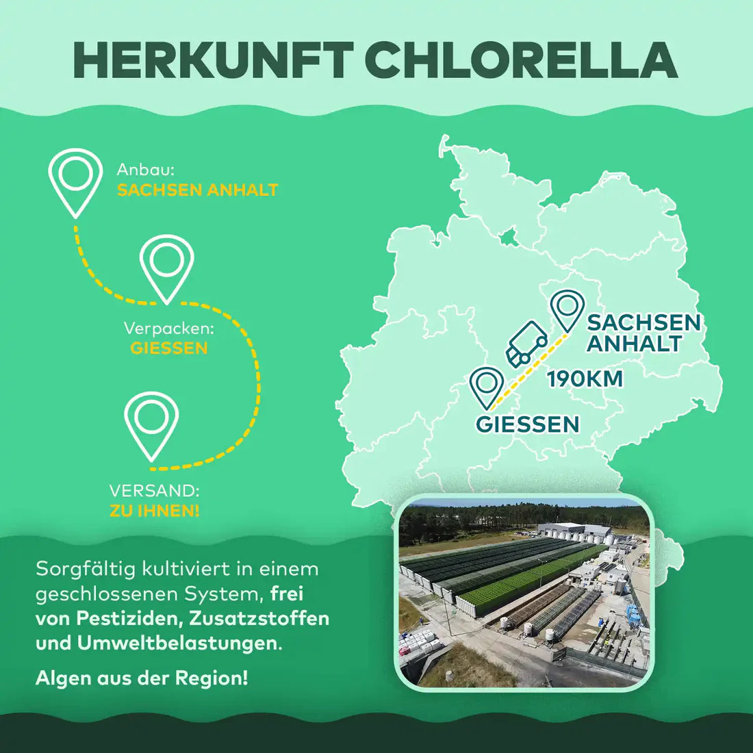 Chlorella Algenpulver aus Deutschland 100 gr.