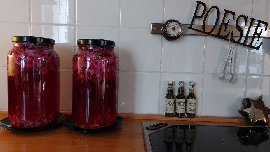 Workshop: Fermentieren mit Sprossensamen & Food Feeling 7. November 2026