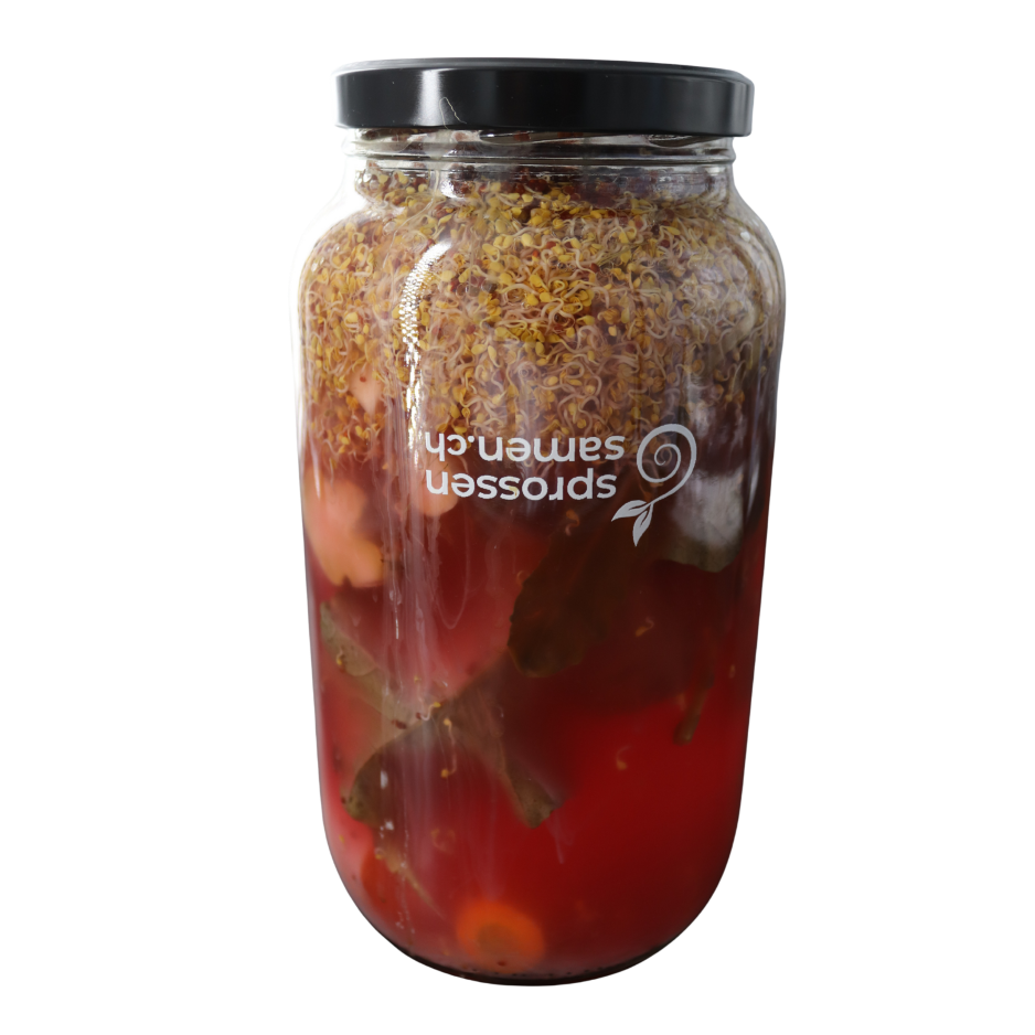 Fermentier-Glas für deinen gesunden Fermentsaft 3100ml