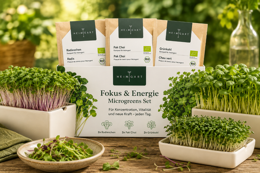 Bio-Fokus & Energie Microgreen Set – Natürliche Pflanzenkraft für mehr Klarheit und Vitalität