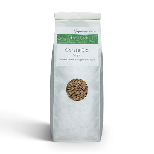 Gerste BIO Sprossensamen – mild, nahrhaft & stärkend 500 gr.