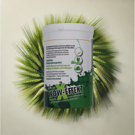 Lichtkraft-BIO-Gersten-Urweizen-Grassaft-Pulver 450 gr.