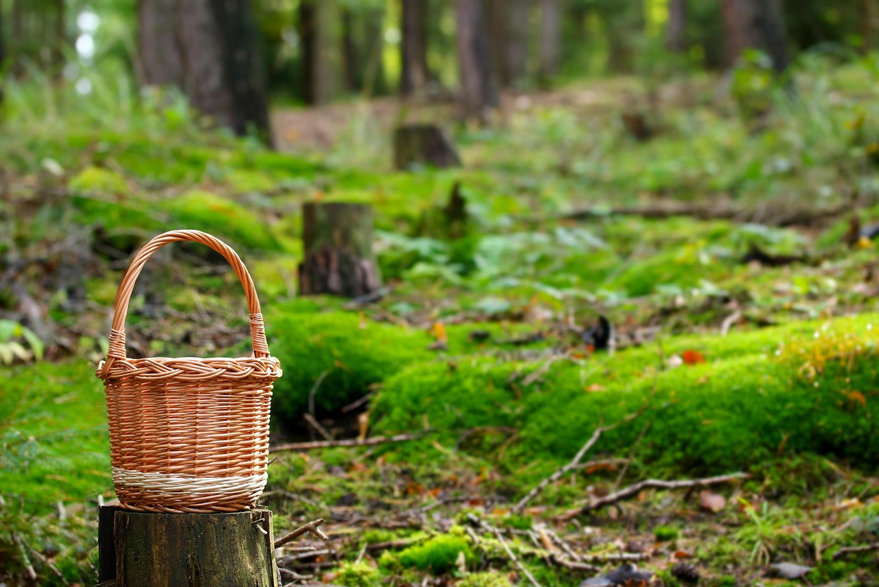 Wellness Ferien – 6. bis 10. Juli 2026