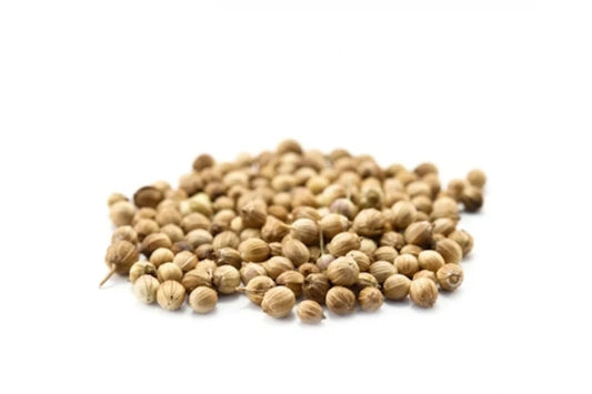 Koriander Bio Sprossensamen 100 gr.