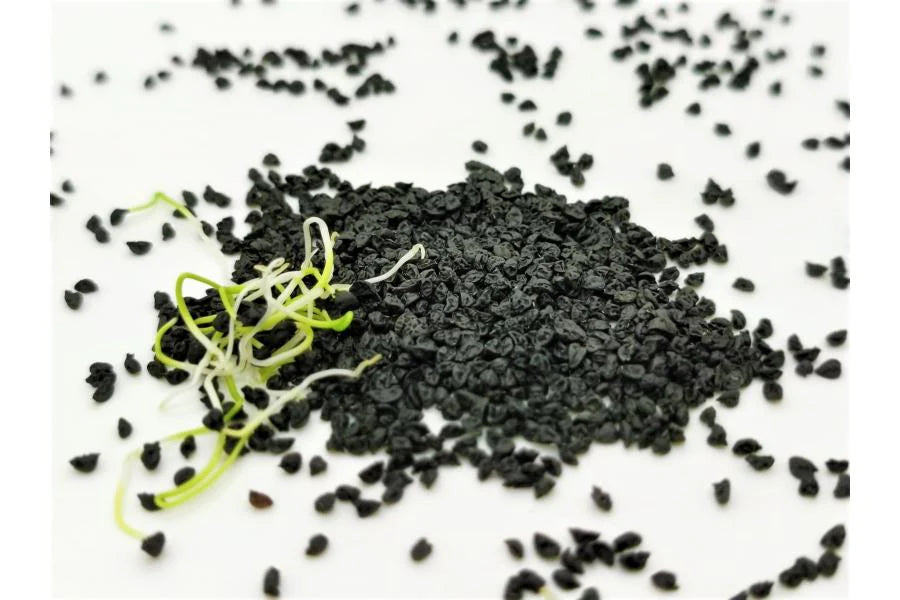 Lauch / Zwiebln BIO Sprossensamen 100 gr.