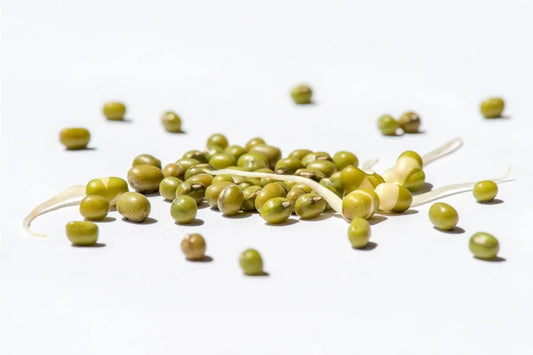 Mungo Bohnen grün BIO 500 gr.