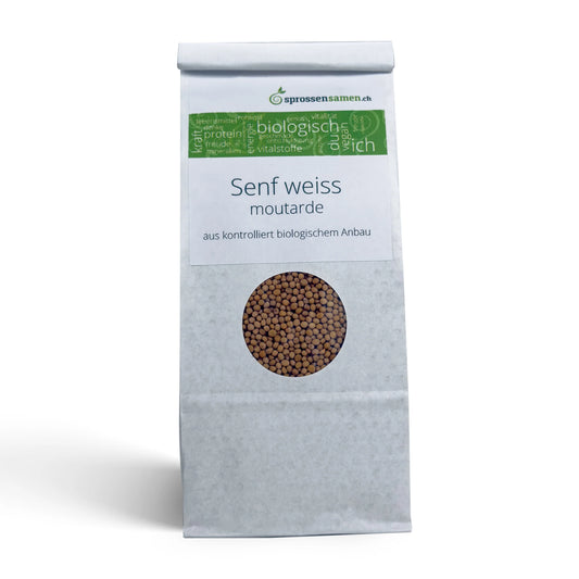 Senf weiss Bio Sprossensamen 250 g