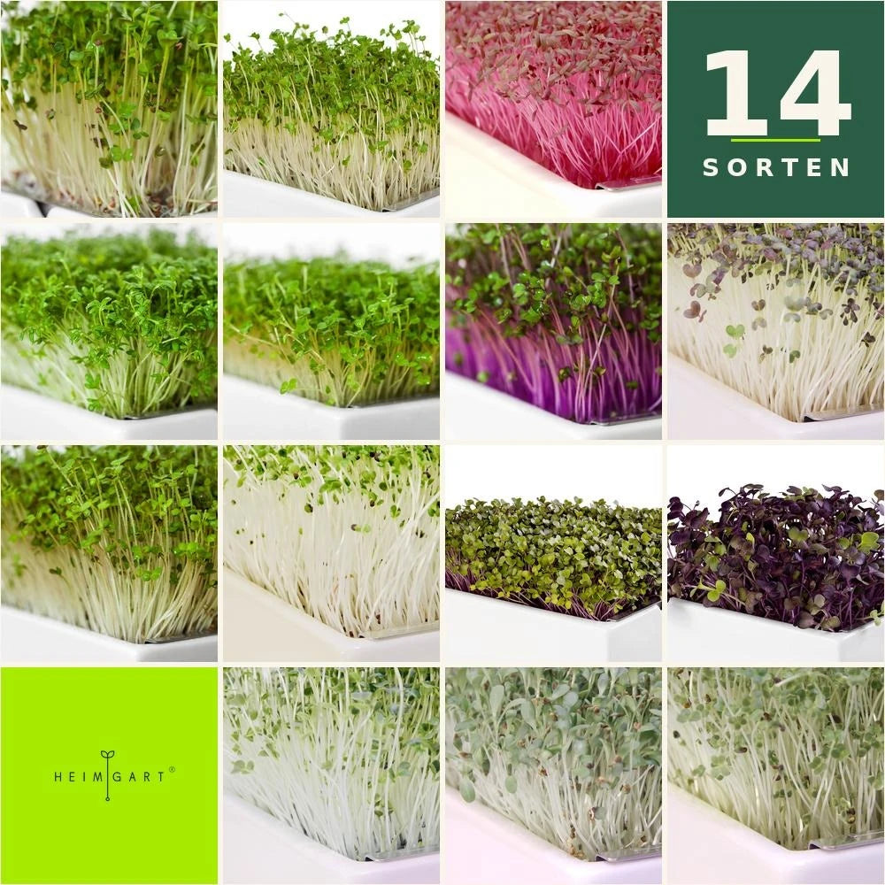 Bio-Microgreens Komplettset – Die ganze Vielfalt der Pflanzenkraft