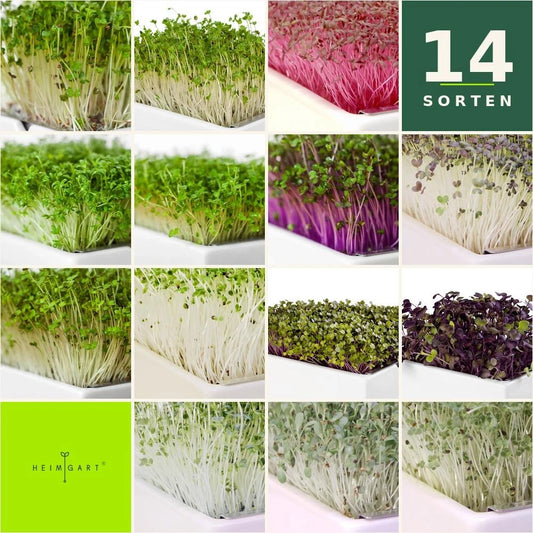 Bio-Microgreens Komplettset – Die ganze Vielfalt der Pflanzenkraft