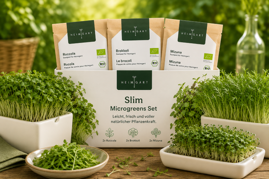 Bio-Slim Microgreen Set – Leichte Ernährung mit voller Pflanzenkraft