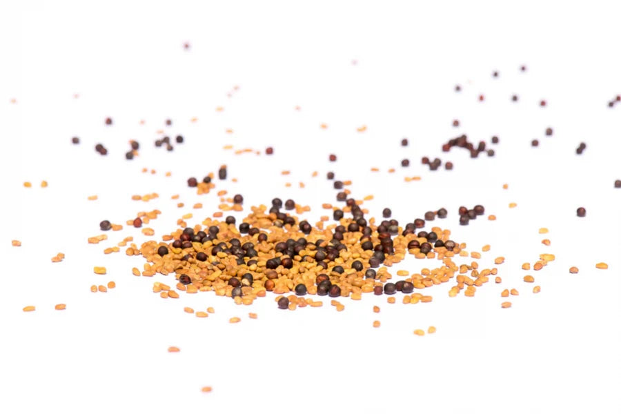 Smoothie-Mix, Bio Sprossensamen 250 gr.