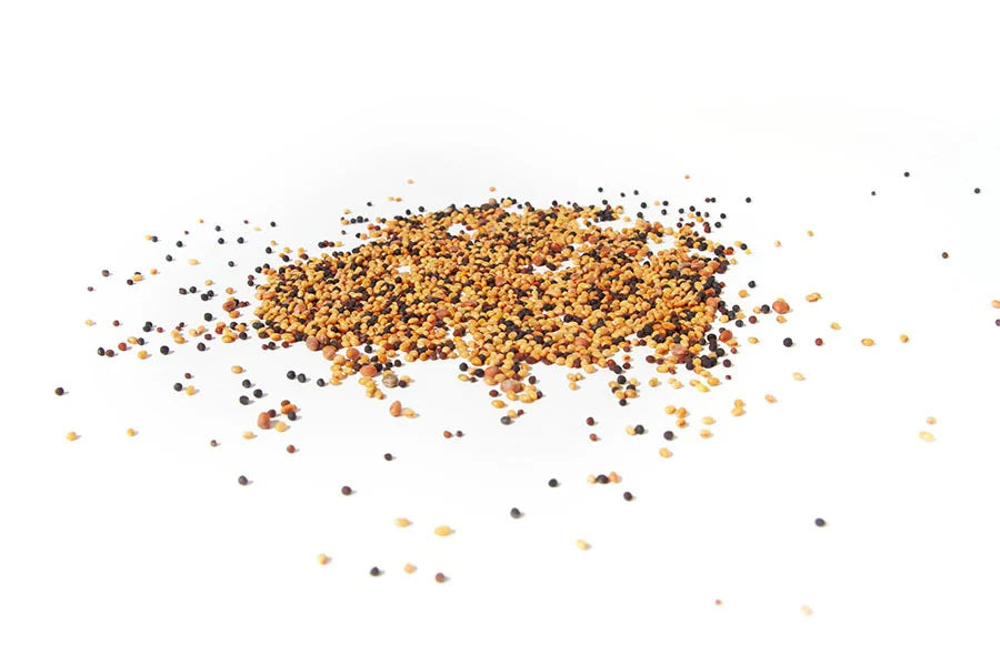 Sprossit-Mix Bio 250 gr.