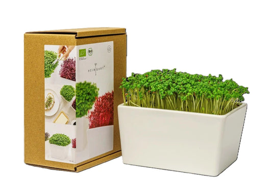 Anzuchtschale Heimgart Microgreens Starter-Kit MINI